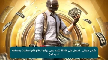 شحن مجاني.. احصل على 16200 شدة ببجي برقم الـ ID وفتّح أسكنات وأسلحة نادرة فورًا